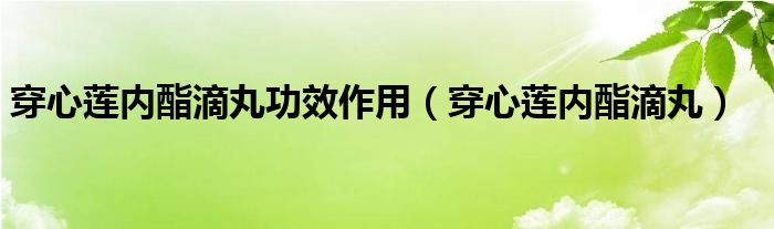 穿心莲内酯滴丸功效作用（穿心莲内酯滴丸）