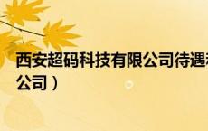 西安超码科技有限公司待遇和薪资咋样（西安超码科技有限公司）