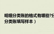 明细分类账的格式有哪些?分别适用于哪种分类账簿?（明细分类账填写样本）