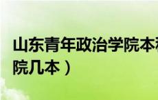 山东青年政治学院本科学费（山东青年政治学院几本）