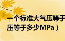 一个标准大气压等于多少帕?（一个标准大气压等于多少MPa）