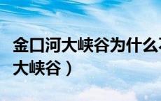 金口河大峡谷为什么不让外国人进入（金口河大峡谷）