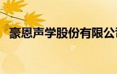 豪恩声学股份有限公司怎么样（豪恩声学）