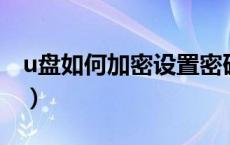 u盘如何加密设置密码（怎么给硬盘设置密码）