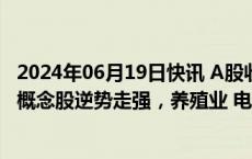 2024年06月19日快讯 A股收评：沪指缩量跌0.4%，车路云概念股逆势走强，养殖业 电力板块低迷