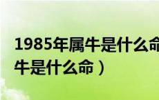 1985年属牛是什么命适合住几楼（1985年属牛是什么命）