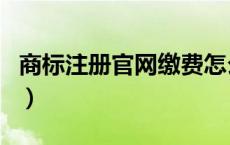 商标注册官网缴费怎么交（商标注册官网缴费）