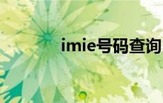 imie号码查询（imo号查询）