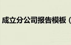 成立分公司报告模板（成立分公司申请报告）