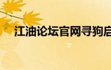 江油论坛官网寻狗启示（江油论坛官网）