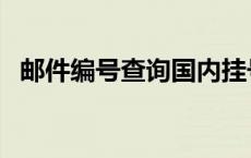 邮件编号查询国内挂号信（邮件编号查询）