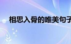 相思入骨的唯美句子（相思相见知何日）