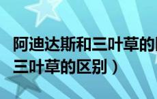 阿迪达斯和三叶草的区别在哪里（阿迪达斯和三叶草的区别）