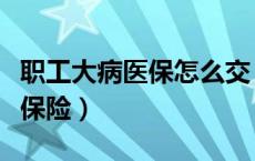 职工大病医保怎么交（怎样缴纳职工大病医疗保险）