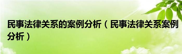 民事法律关系的案例分析（民事法律关系案例分析）