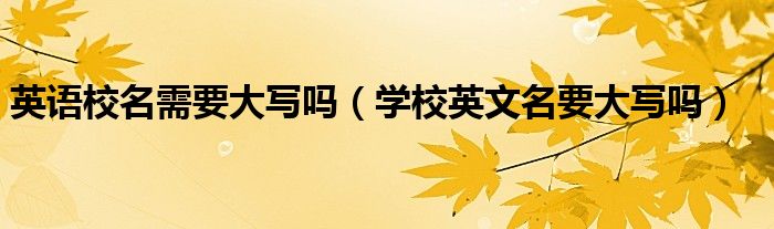 英语校名需要大写吗（学校英文名要大写吗）