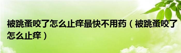 被跳蚤咬了怎么止痒最快不用药（被跳蚤咬了怎么止痒）