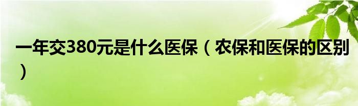 一年交380元是什么医保（农保和医保的区别）