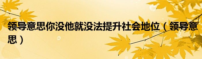 领导意思你没他就没法提升社会地位（领导意思）