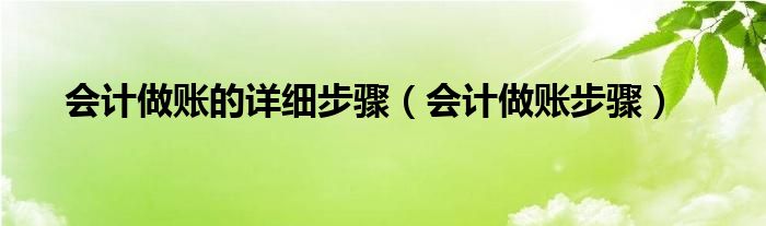 会计做账的详细步骤（会计做账步骤）