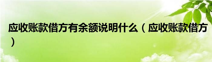 应收账款借方有余额说明什么（应收账款借方）