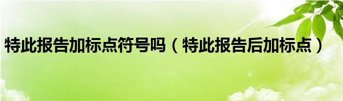 特此报告加标点符号吗（特此报告后加标点）