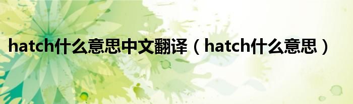 hatch什么意思中文翻译（hatch什么意思）