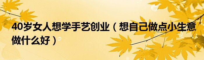 40岁女人想学手艺创业（想自己做点小生意做什么好）