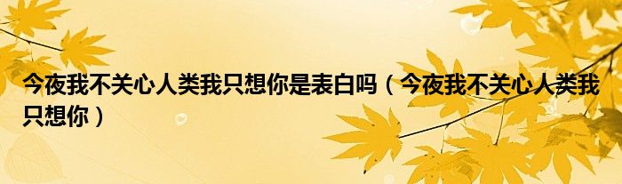 今夜我不关心人类我只想你是表白吗（今夜我不关心人类我只想你）