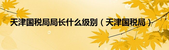 天津国税局局长什么级别（天津国税局）