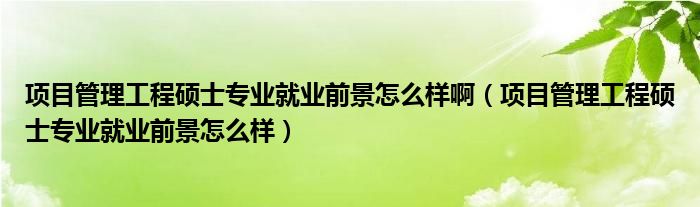 项目管理工程硕士专业就业前景怎么样啊（项目管理工程硕士专业就业前景怎么样）