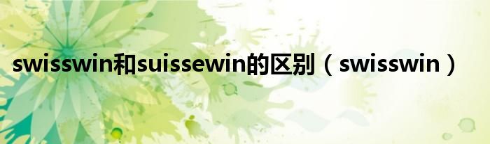 swisswin和suissewin的区别（swisswin）