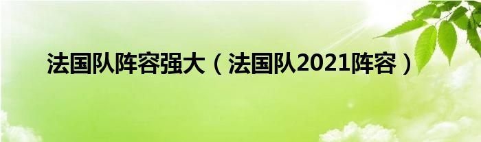 法国队阵容强大（法国队2021阵容）