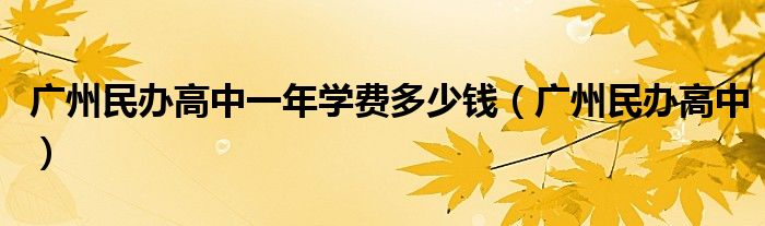 广州民办高中一年学费多少钱（广州民办高中）