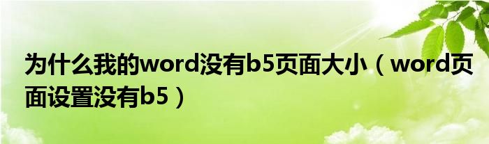 为什么我的word没有b5页面大小（word页面设置没有b5）