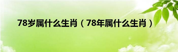 78岁属什么生肖（78年属什么生肖）