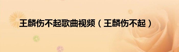 王麟伤不起歌曲视频（王麟伤不起）