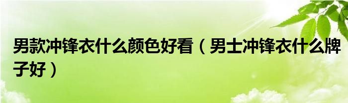 男款冲锋衣什么颜色好看（男士冲锋衣什么牌子好）