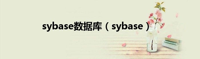 sybase数据库（sybase）