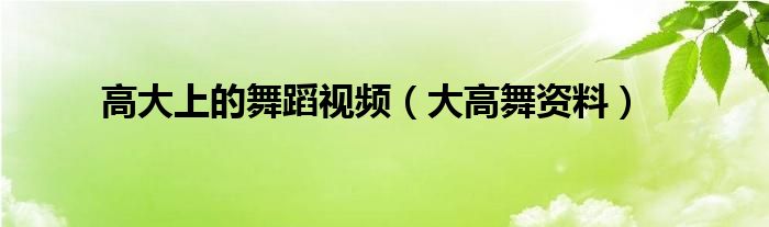 高大上的舞蹈视频（大高舞资料）