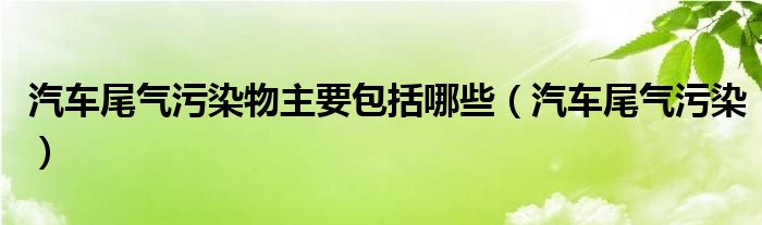 汽车尾气污染物主要包括哪些（汽车尾气污染）