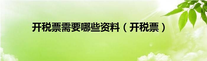 开税票需要哪些资料（开税票）