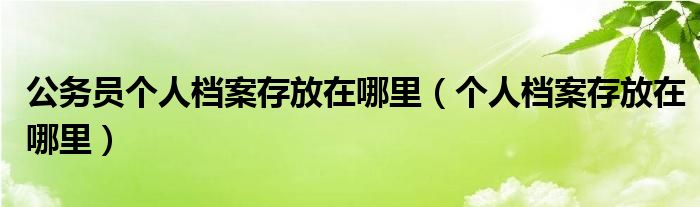 公务员个人档案存放在哪里（个人档案存放在哪里）