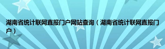 湖南省统计联网直报门户网站查询（湖南省统计联网直报门户）