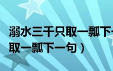 溺水三千只取一瓢下一句是什么（溺水三千只取一瓢下一句）