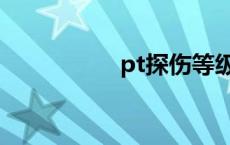 pt探伤等级（pt探伤）