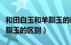 和田白玉和羊脂玉的区别图片（和田白玉和羊脂玉的区别）