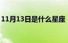 11月13日是什么星座（1月13日是什么星座）