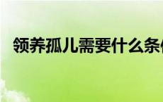 领养孤儿需要什么条件和费用（领养孤儿）