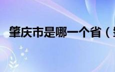 肇庆市是哪一个省（肇庆市属于哪个省份）